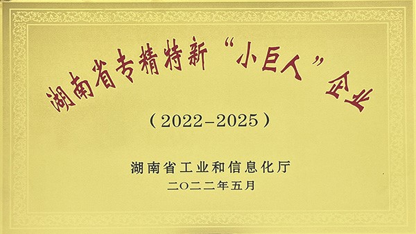 2022年湖南省專精特新“小巨人”企業(yè)名單